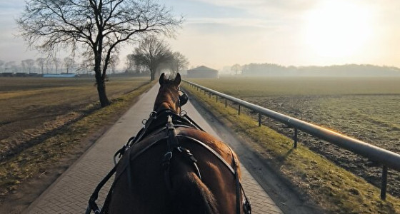 [AR] [HK] De paden op, de lanen in...... rijtuigje deel 9