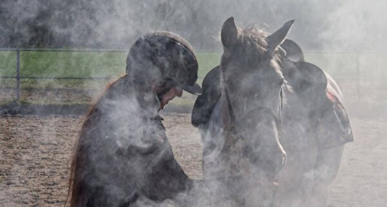 [VOLG] Latino, mijn eerste eigen paard die ik kocht van een foto..