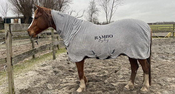 [INFO] Alle vragen over dekens - Deel 5.