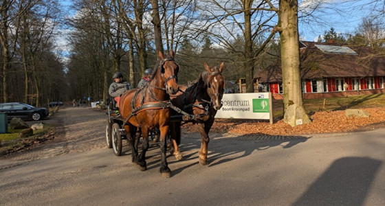 Relive challenges #1