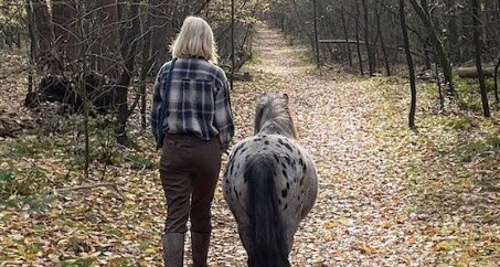 [VOLG] Nicky, de kleine stippelpony