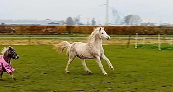 Vriendje Frits op zijn nieuwe stek!