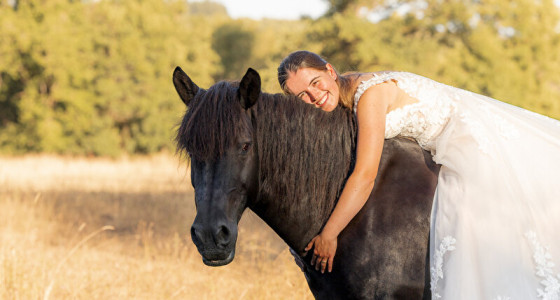Op naar Frankrijk: Nala the wedding pony