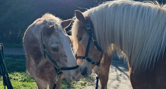 Topic voor de oudjes deel 2.