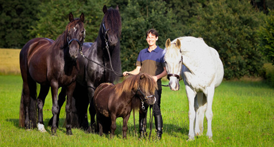 [Blog] Joe's struggles in paardenparadijs