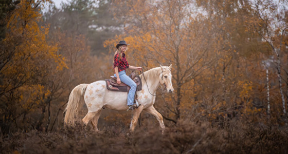 Hippie is going Western