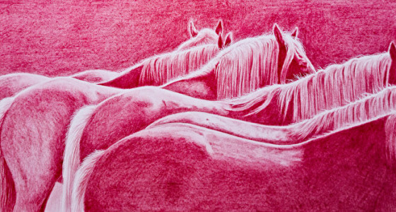 [TEK] Het afgelopen kleurplatenjaar van San87