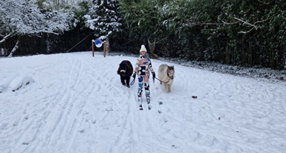 Skiën met de pony’s