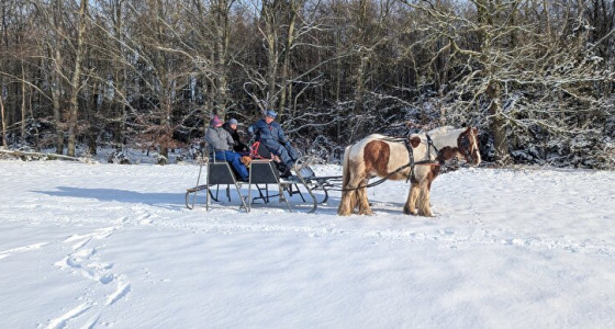 Op pad met de arreslee