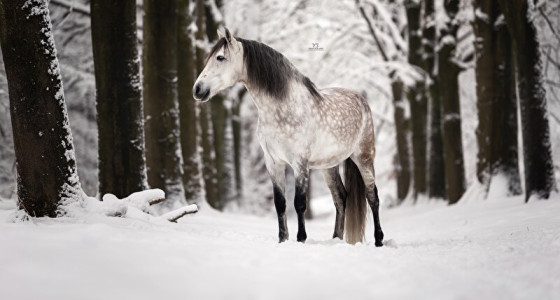 Vroeger in de Penny...
