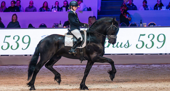 [FOTO] KFPS Hengstenbal en Hynder fan Harich