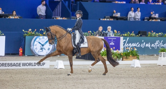 [FOTO] Jumping Amsterdam 2026: de dressuur in beeld