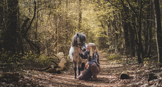 Ultiem genieten in het bos!