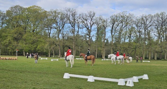 Het NK jachtpaarden 2026: hoe werkt zo'n dag?