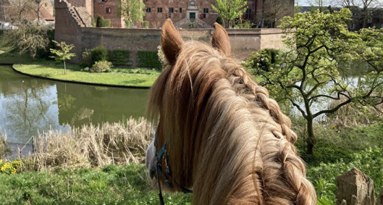 Weekendje Montferland en de trailtuin met Lilly
